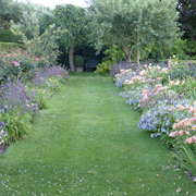Double Borders of the Spring Walk in summer with Alstromera, Salvia and Hemerocalis