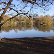 Lake View